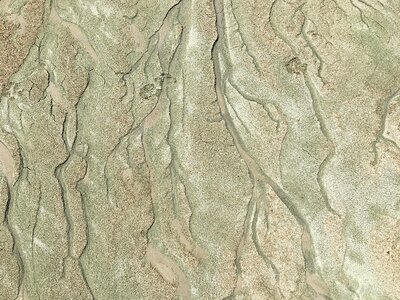 Algae great salt lake imprint photo