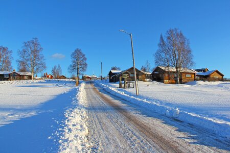 Cold beautiful red photo