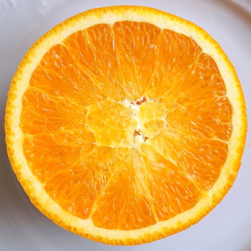 The freshness diet southern fruits