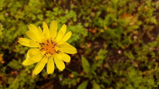 Nature spring earth day