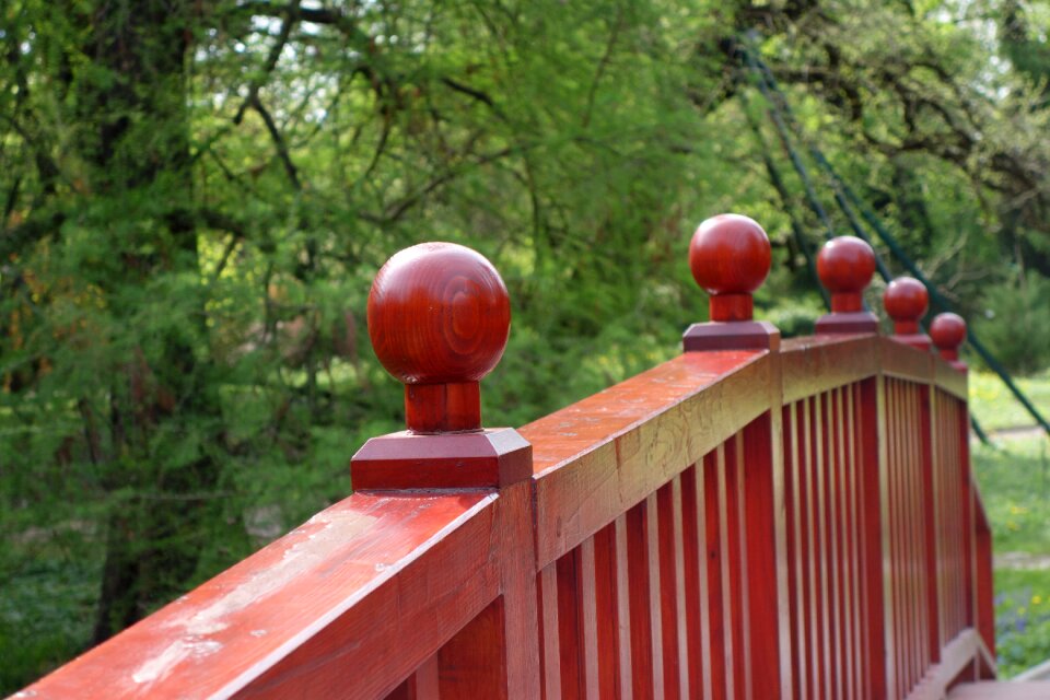 Park walk botanical garden