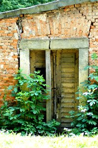 Old building lost overgrown photo