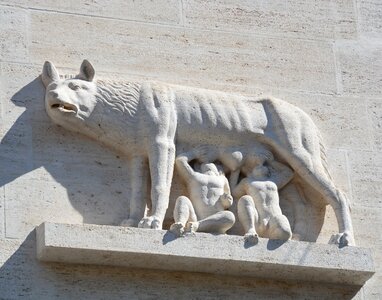 Wolf sculpture roman