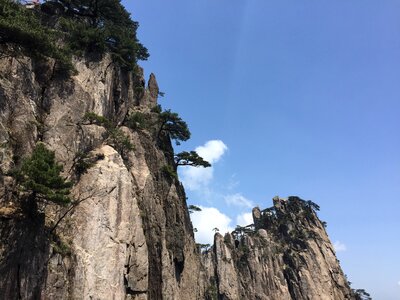 Huangshan pine white cloud