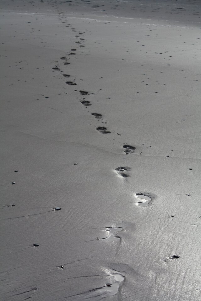 Footprints footsteps photo