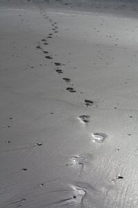 Footprints footsteps photo
