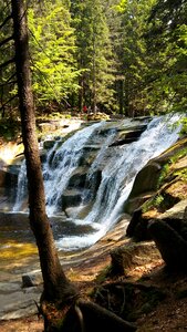 Nature river czech republic photo