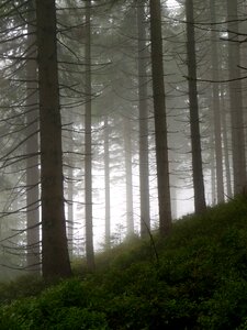 Dark mountains haze