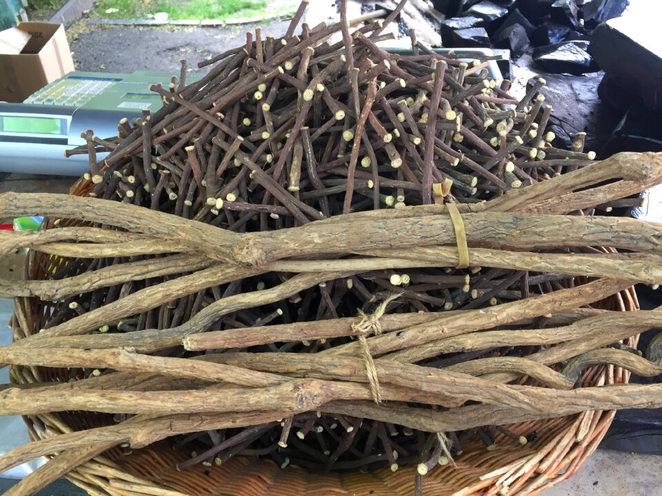 Liquorice zahnreinigung wood
