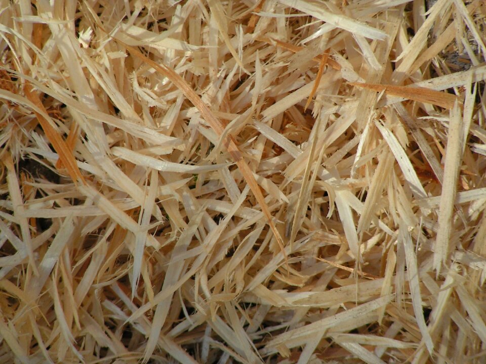 Background texture shredded