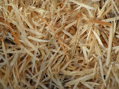Background texture shredded