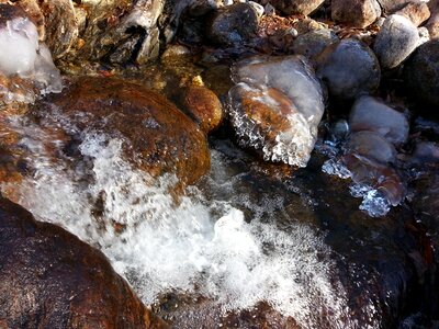 Spring streams the creek