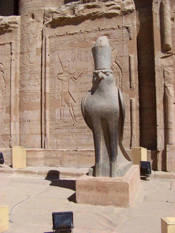God horus brown god