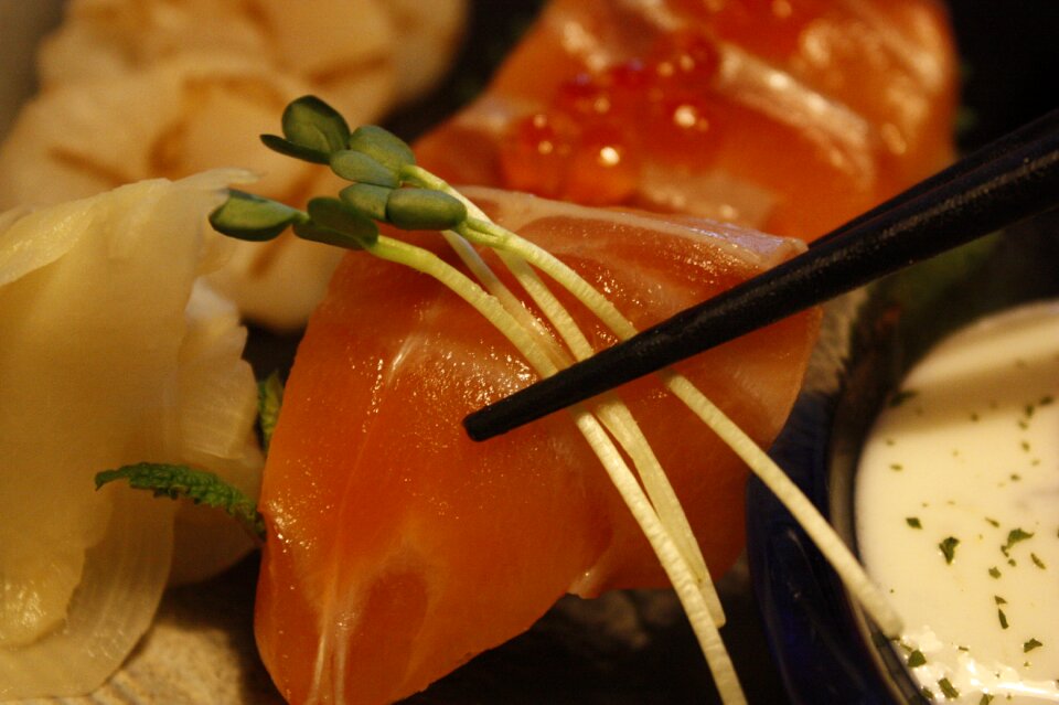 Japanese fish food