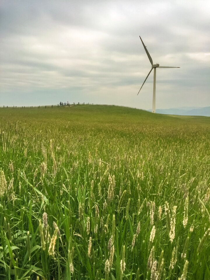 Field pool pinwheel