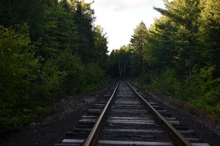 Woods adirondacks iron photo