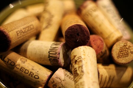 Cork winery