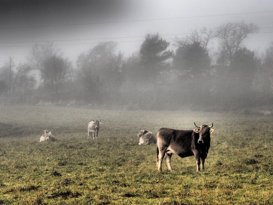 Farm field rural