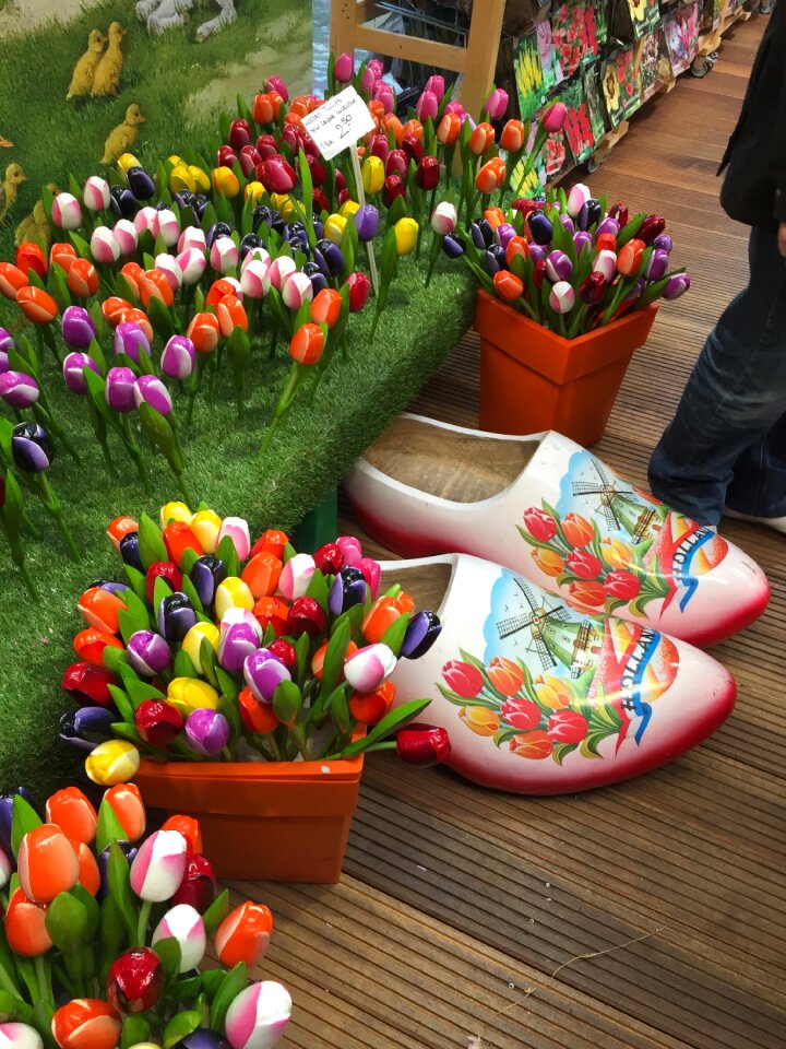 Tulips shoe amsterdam