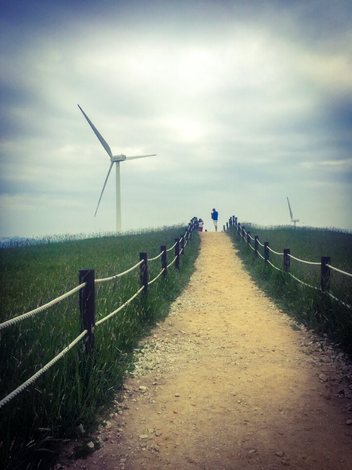 Hill field landscape