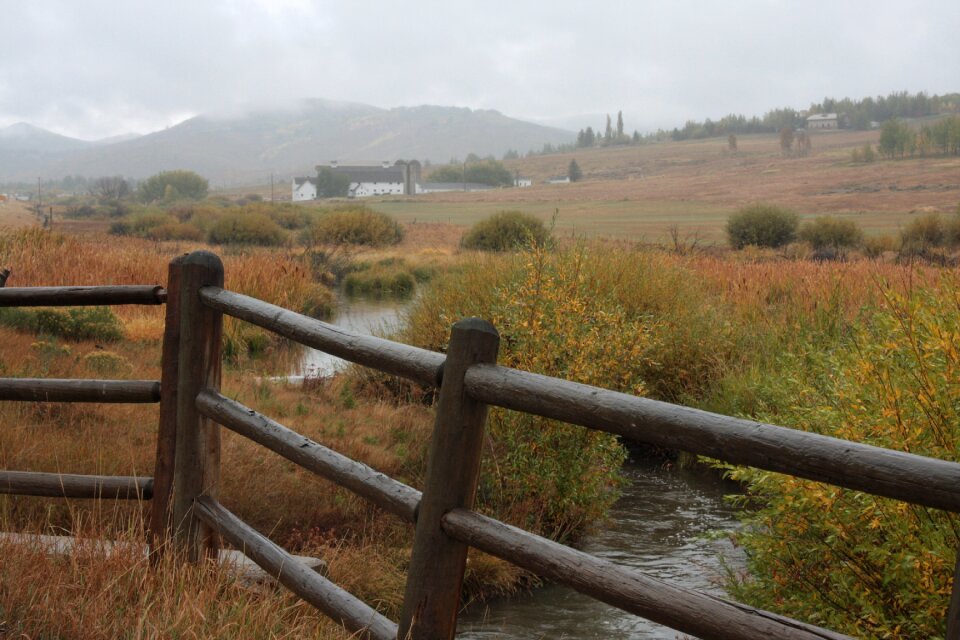 Landscape season november