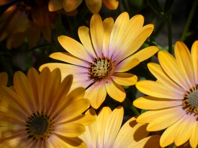 Colorful beauty background