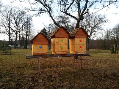 The bees agriculture honey