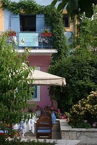 Building trees exterior