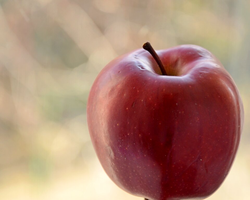 Closeup summer apples