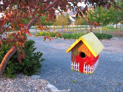 Birdhouse in tree painted birdhouse