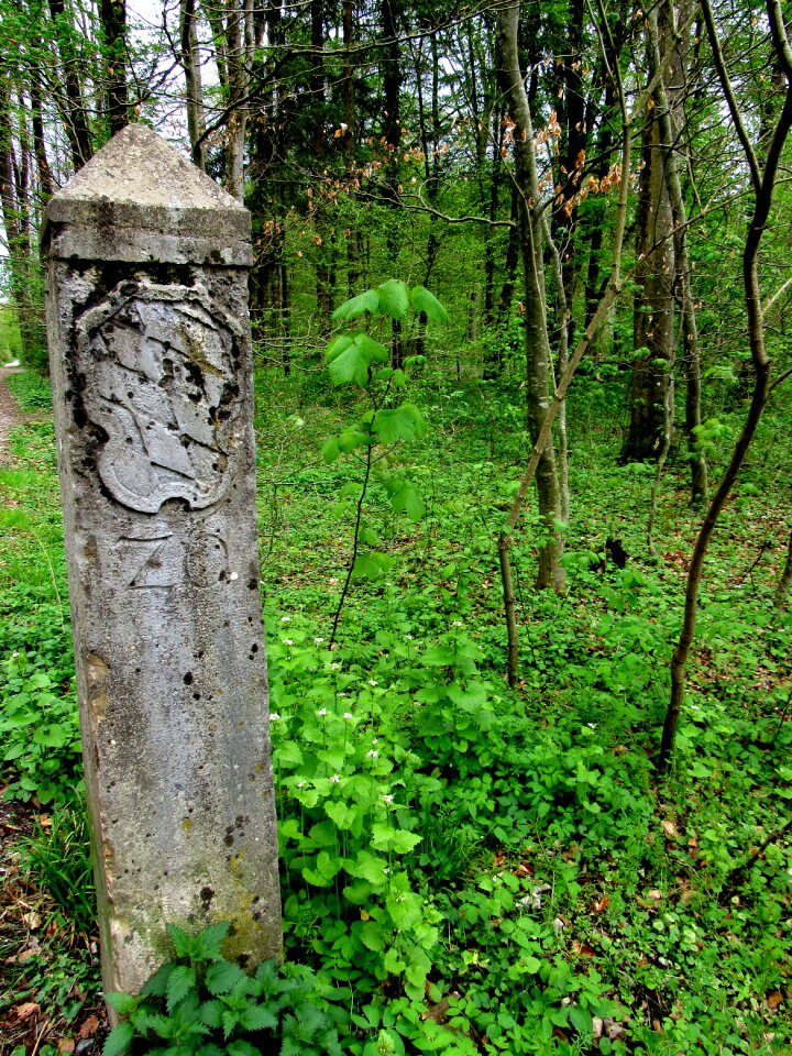 Border of bavaria old boundary stone forest
