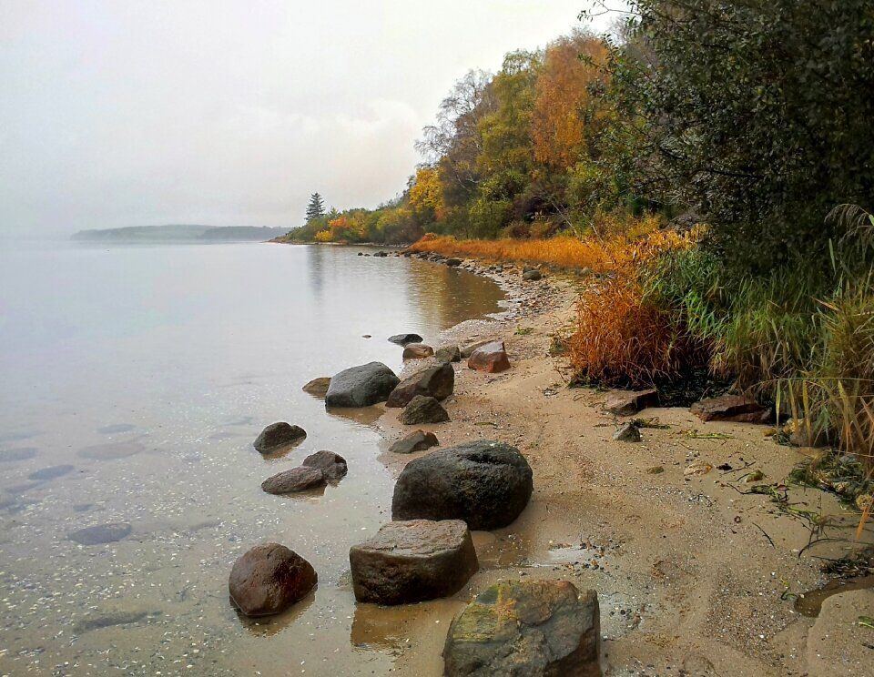 Natural denmark sandy beach