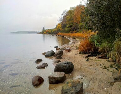 Natural denmark sandy beach photo