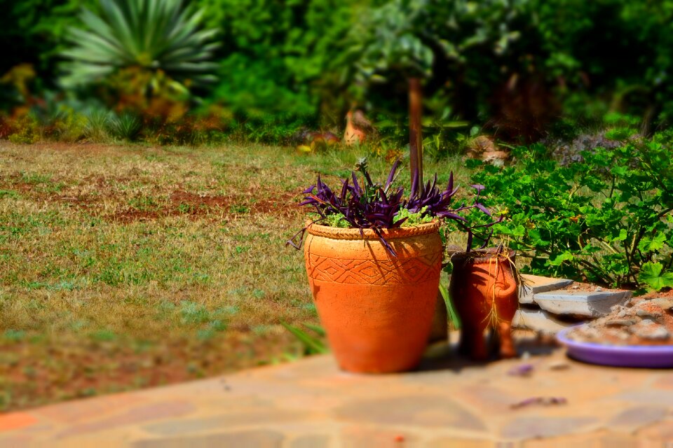 Gardener outdoor
