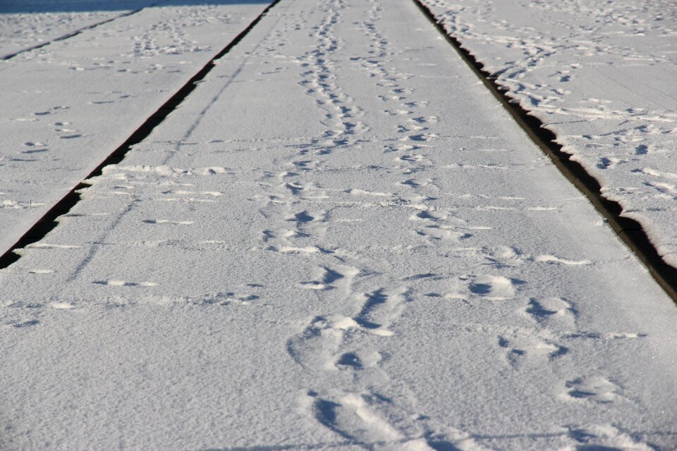 Track rotterdam snow