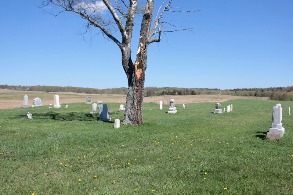 Graveyard fall sky