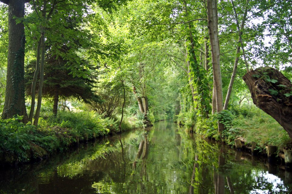River water green