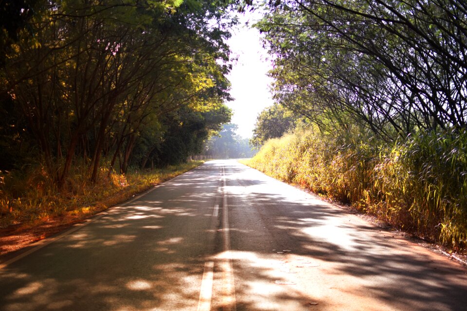 Highway nature road