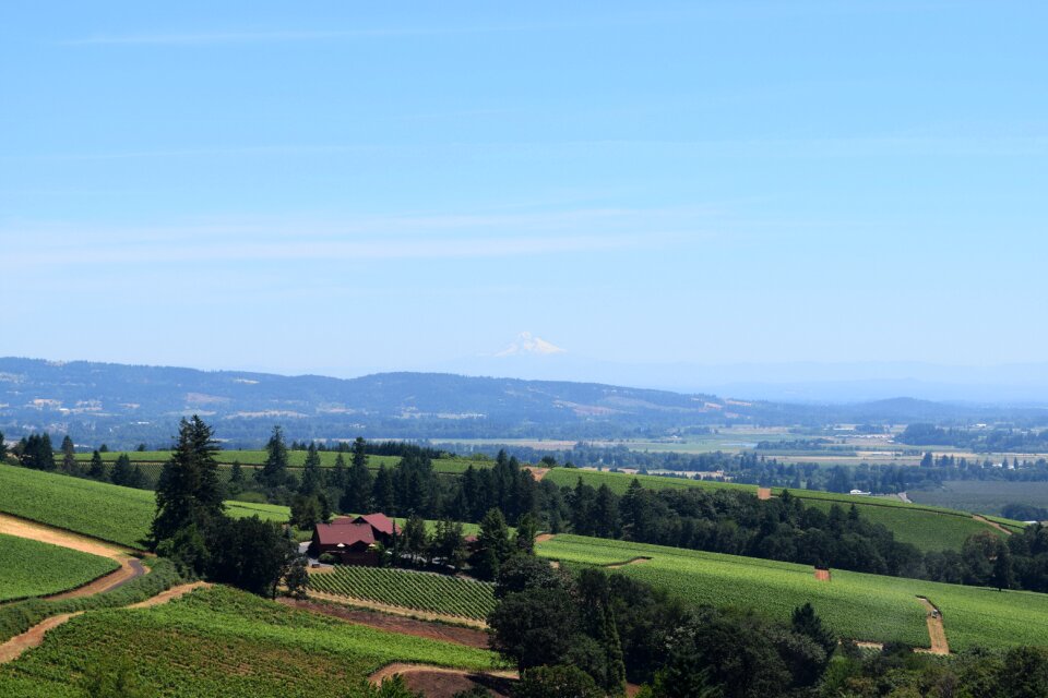 Oregon summer sky