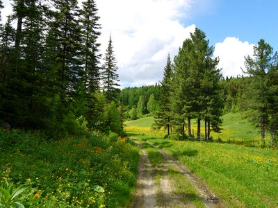 Landscape summer road photo