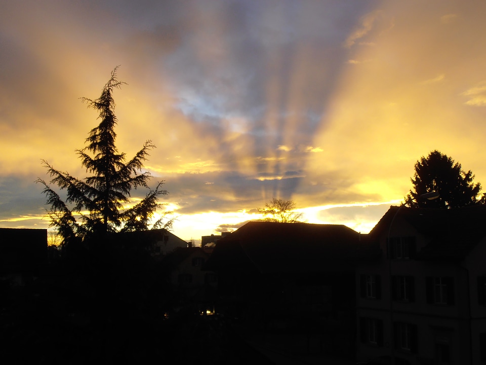 Golden sky morgenrot sun