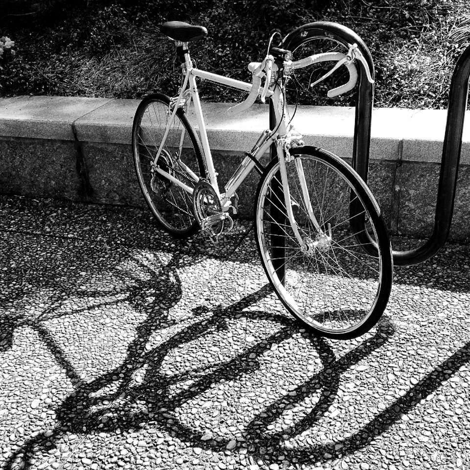 Black and white bike vintage