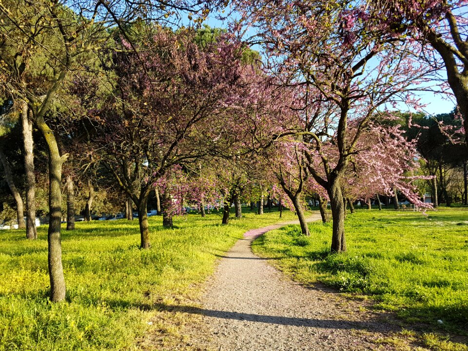 Nature walk color