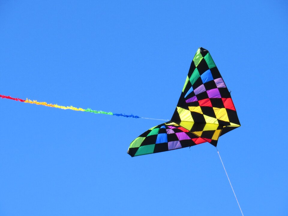 Sky steering dragon kite flying