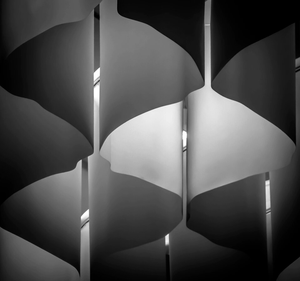 Design black white