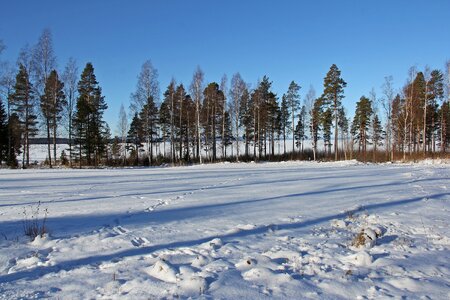 Frozen snow ice