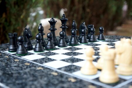 Chess game figures white photo