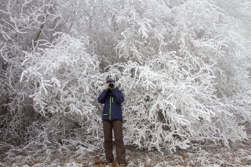 Hoarfrost winter photographer
