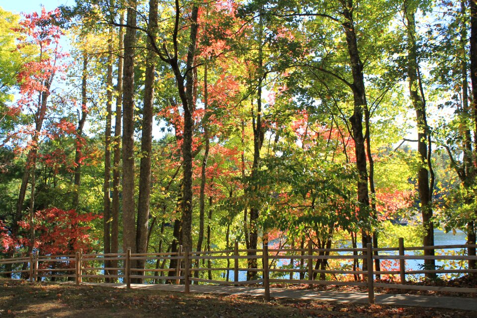 Foliage september october