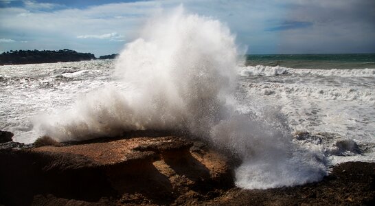 Wave sea head